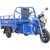 Грузовой электротрицикл Rutrike Круиз 60V/1000W синий