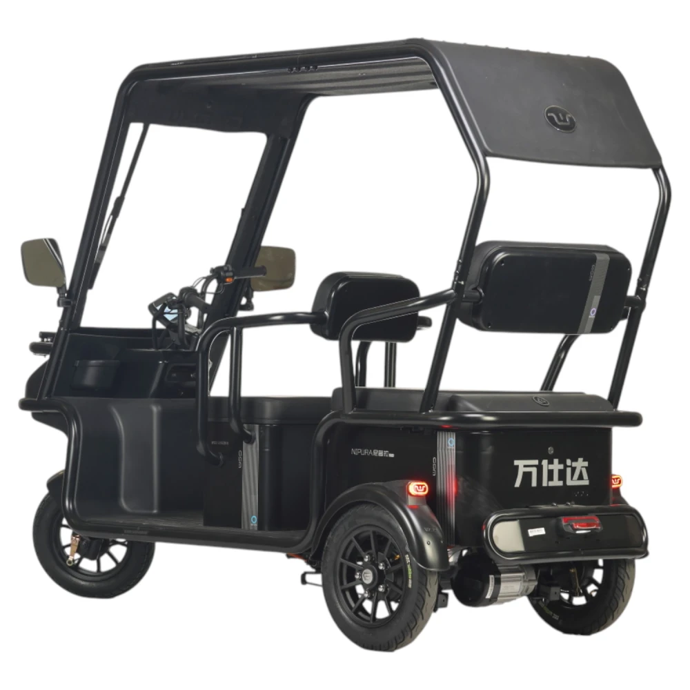 Электротрицикл Wanshida NIPLA 570 60V 1000Вт Зеленый 1