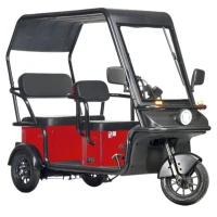 Электротрицикл Wanshida NIPLA 570 60V 1000Вт Красный