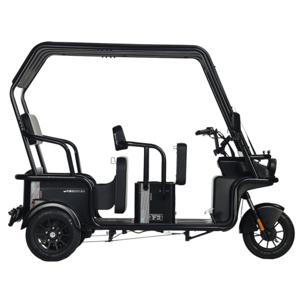 Электротрицикл Wanshida NIPLA 570 60V 1000Вт Зеленый 4